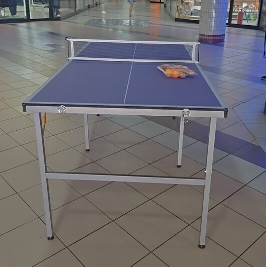 Mini Mesa de ping pong