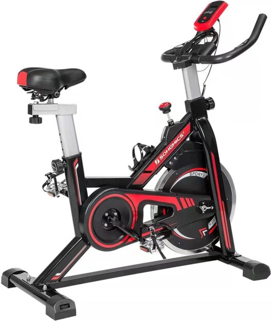 Bicicleta estática "Gym"